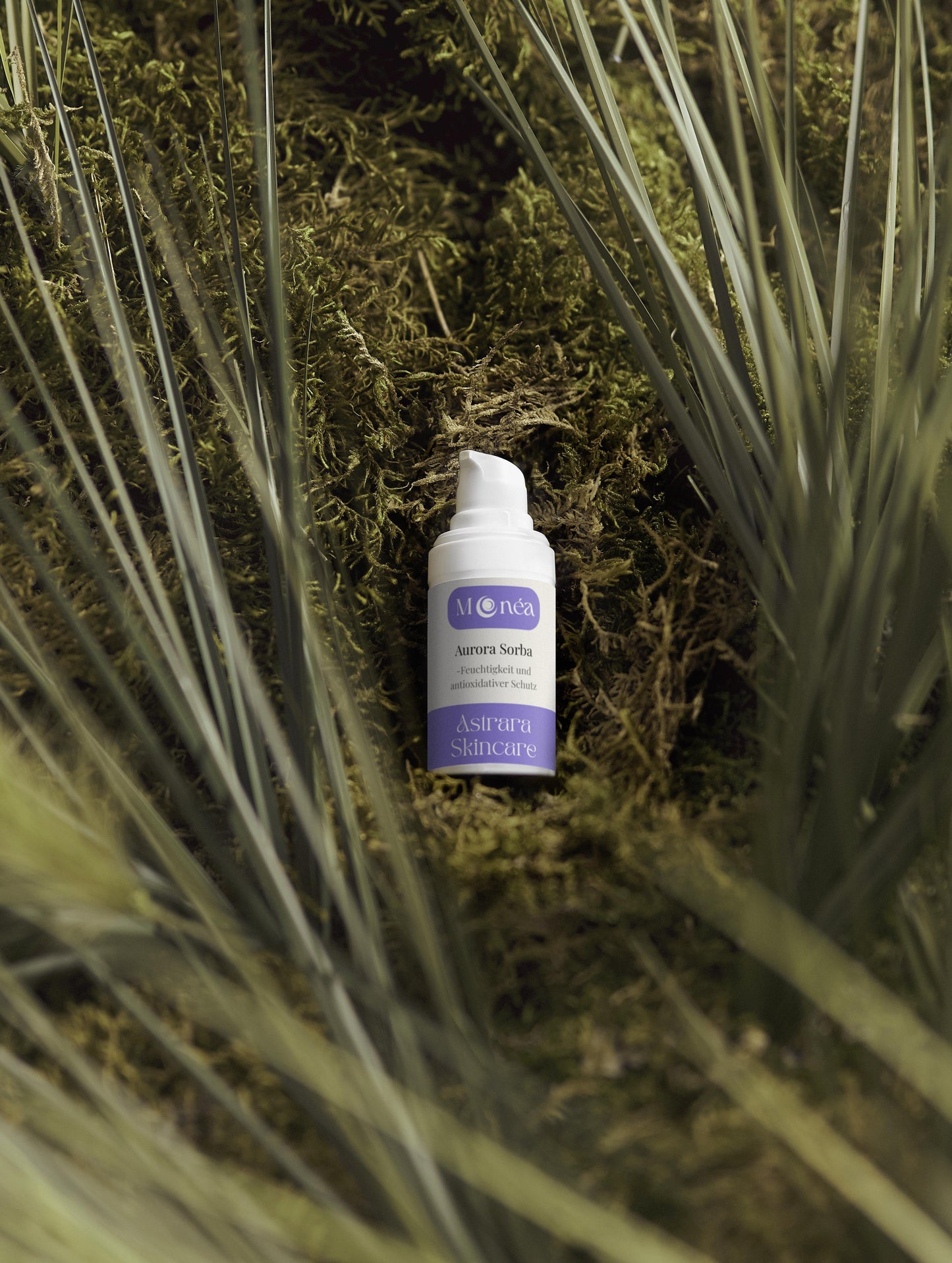 Aurora Sorba - Vegane Feuchtigkeitscreme mit Aloe Vera & antioxidativem Vogelbeer-Extrakt